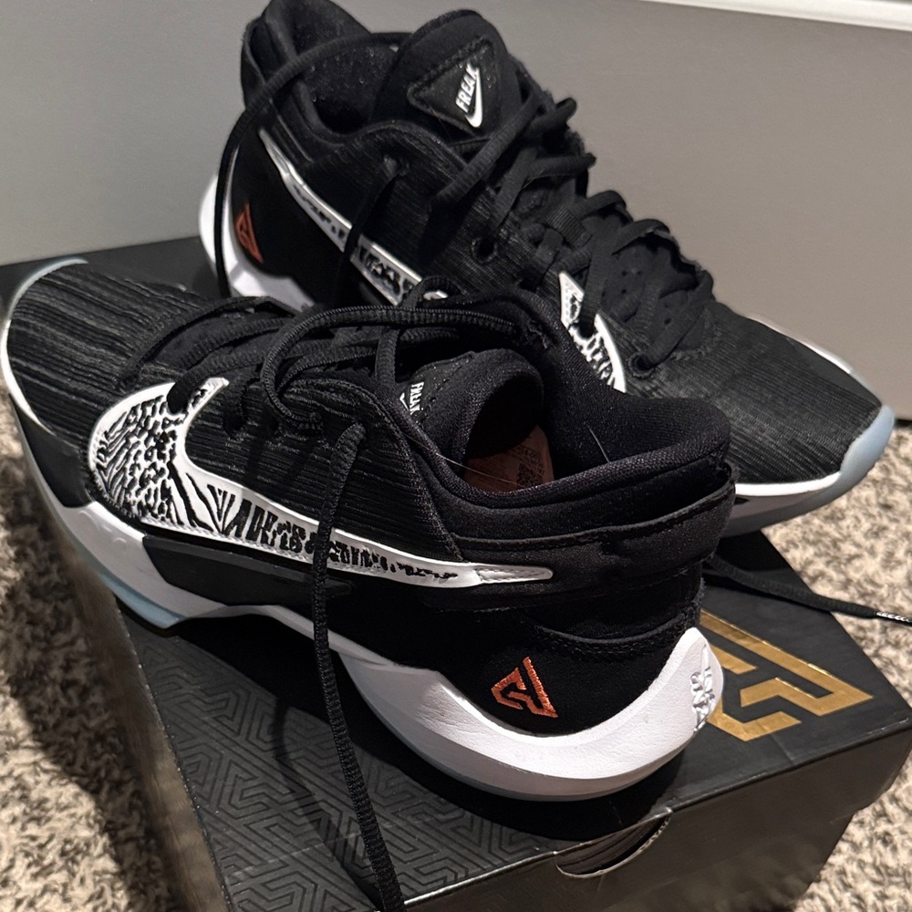 Zoom Freak 2